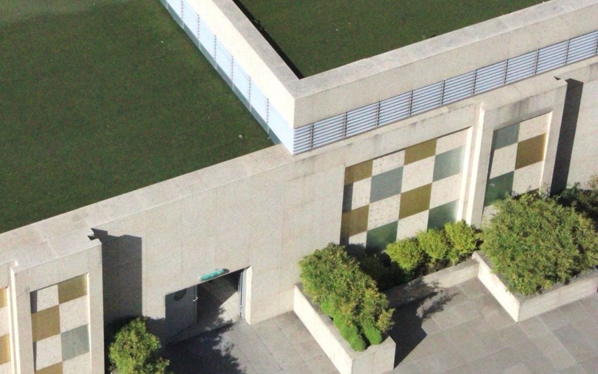 Groen dak op een modern gebouw